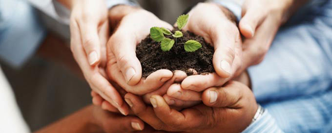 Business Start Up Loans