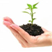 Business Startup Loans and Financing