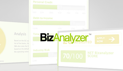 BizAnalyzer BizAnalyzer