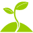 Business start up