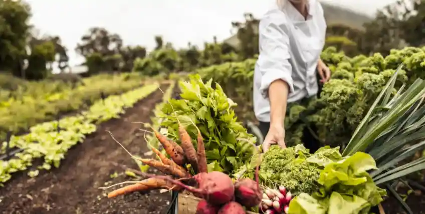 organic farm loans