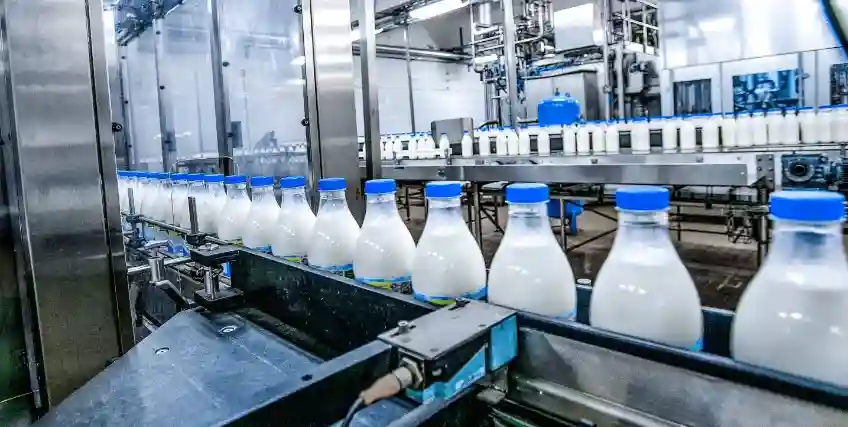 Tips to Improve Your Chances of Getting a Dairy Farm Loan Approved