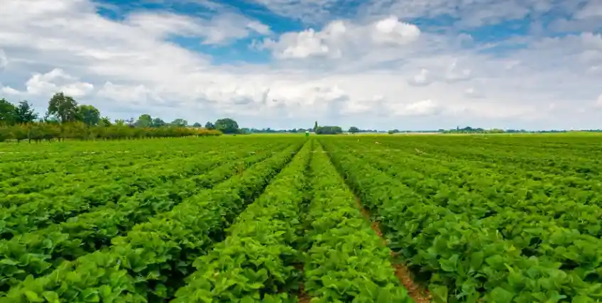 Grants for Organic Farmers Funding Opportunities to Grow Your Farm