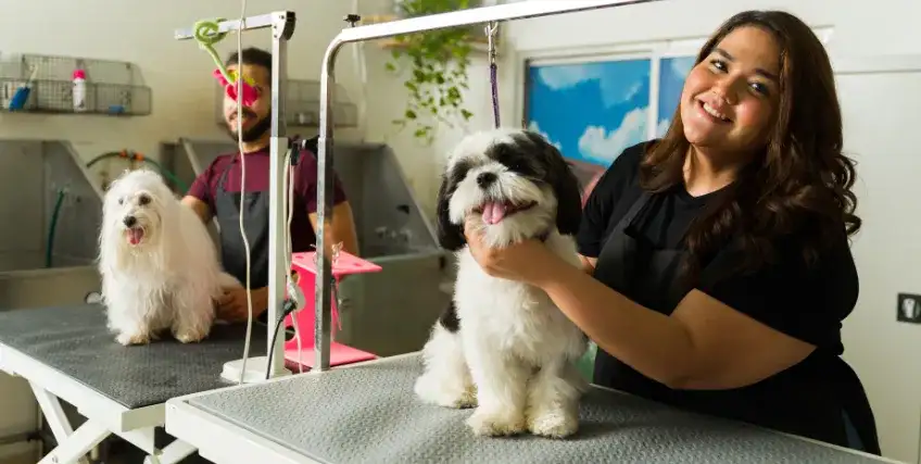 5 Funding Sources for Mobile Pet Grooming Startups in 2025