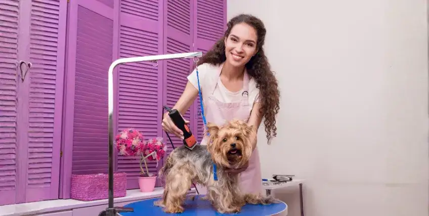 Poultry Loans: Financing Solutions for Your Farming Business