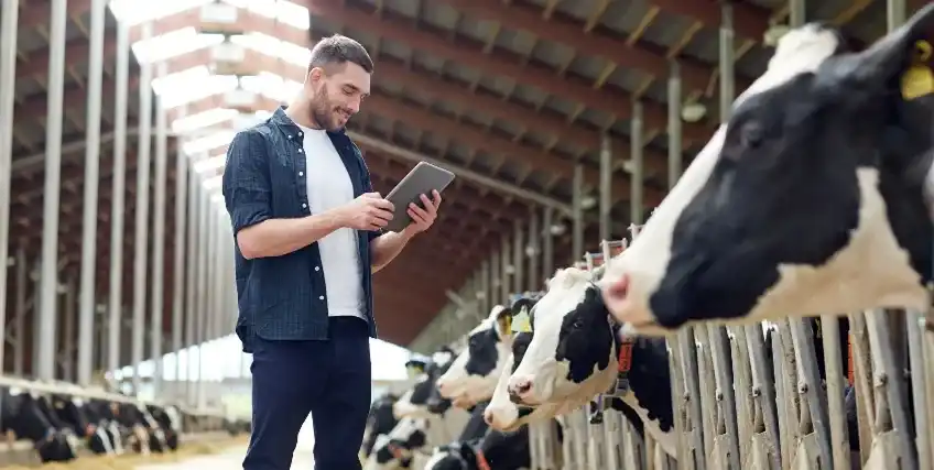 Top Loan Programs for Dairy Farmers in the U.S.