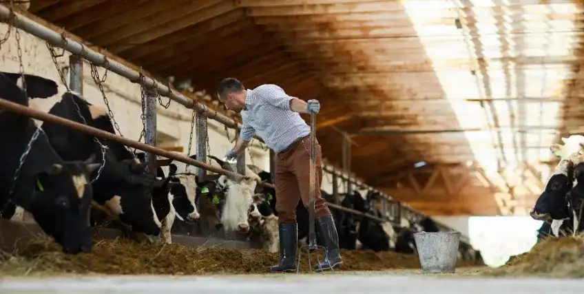 Financing New Dairy Farm Equipment: A Guide for US Farmers