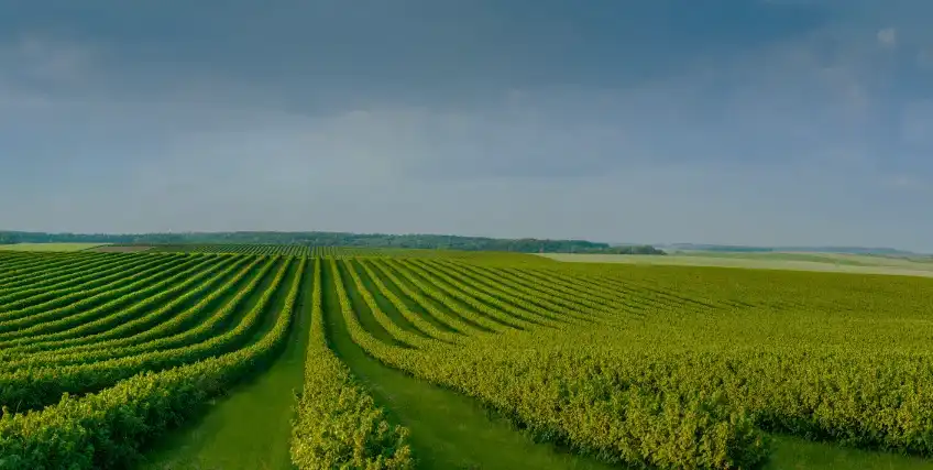 Best Uses of Ag Operating Loans for Modern Farming Businesses