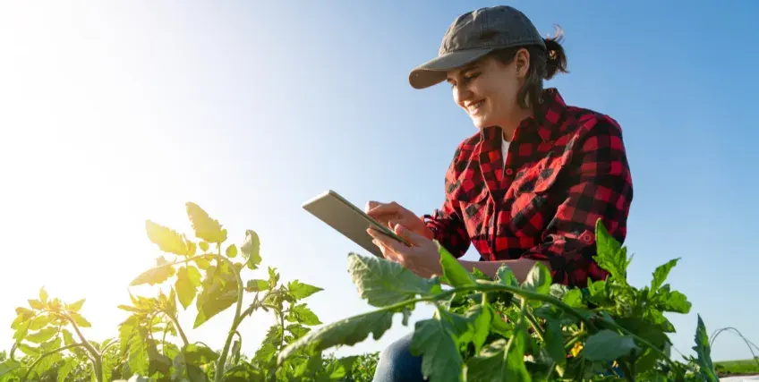 Crop Loans for Start-Up Farms: Requirements and Options To Explore