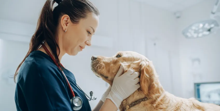 Financing for Veterinary Care: Loan Options to Grow Your Clinic