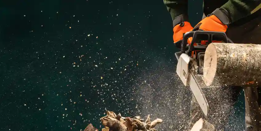 Forestry Equipment Financing: Grants, Loans & Leasing for 2025