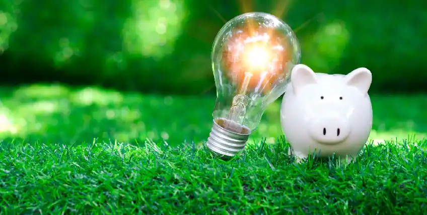 Financing Eco-Friendly and Sustainable Hardwood Flooring Options