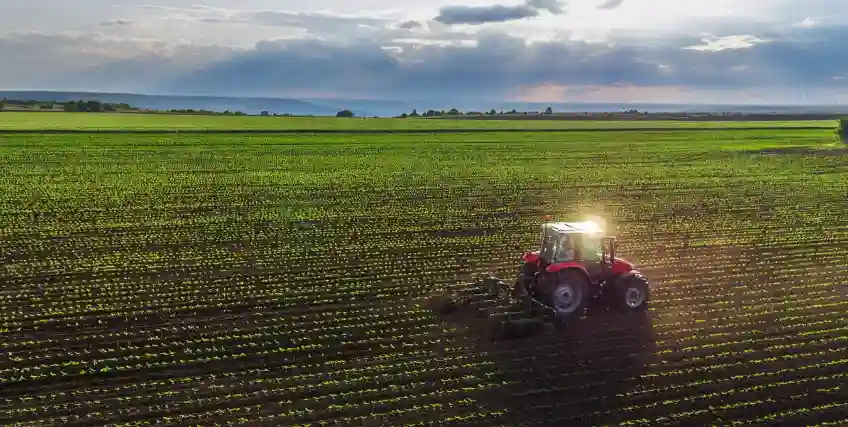 How Crop Loans Help Small Farms Manage Seasonal Expenses: Insights