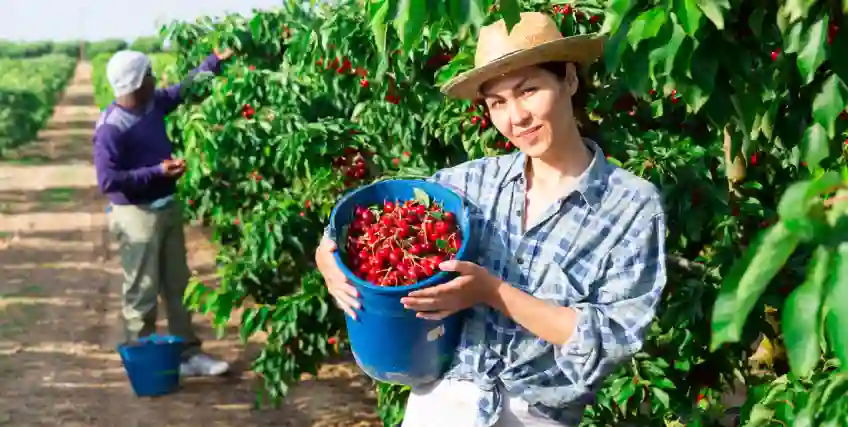 Seasonal Business: Here’s Why You May Need a Quick Loan