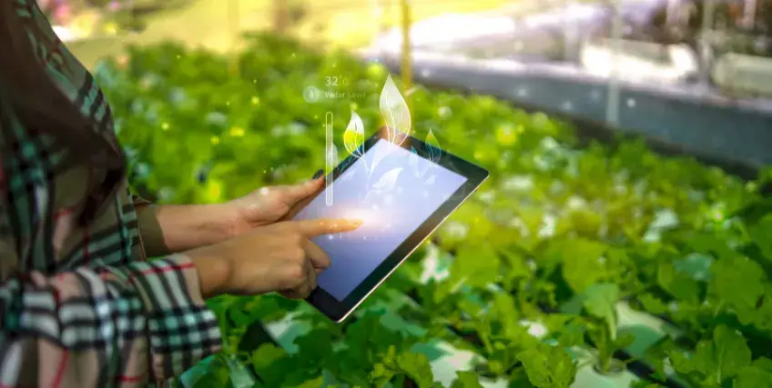 Explore Non-Repayable Renewable Energy Grants for Small Businesses