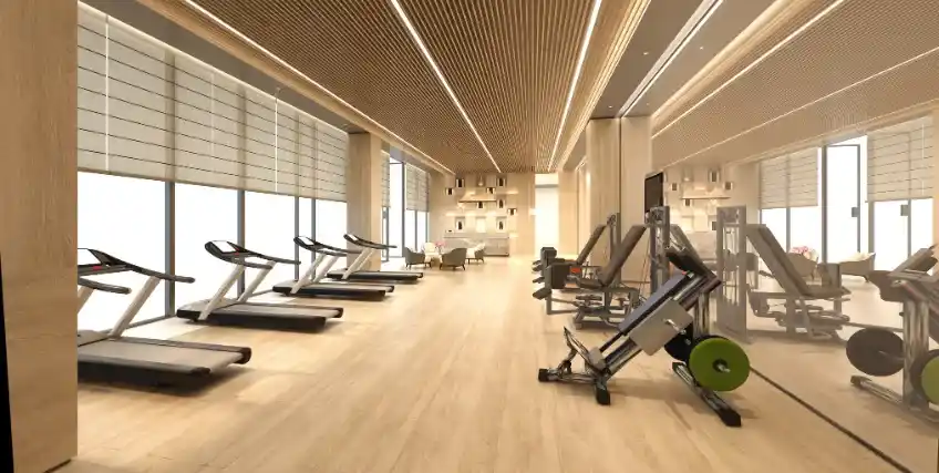 Breaking Down the Startup Cost for a Gym What You Need to Budget