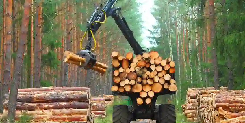 Top Forestry Equipment Financing Solutions for Small Logging Businesses