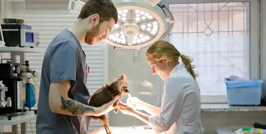 From Associate to Owner: Guide to Veterinary Practice Lending and Your First Acquisition