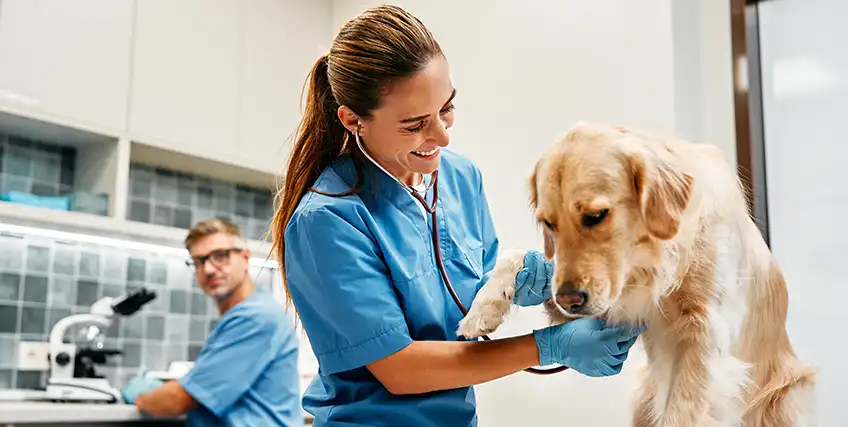 Veterinary Practice Loans: How to Finance