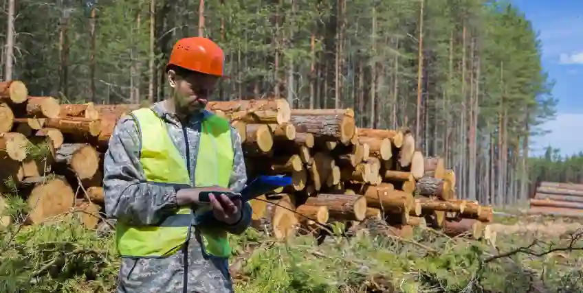 Working Capital Loans for Forestry Operations What You Need to Know