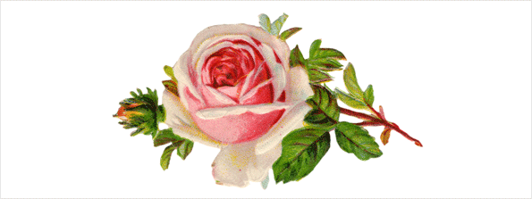 Flower Basket and Gifts