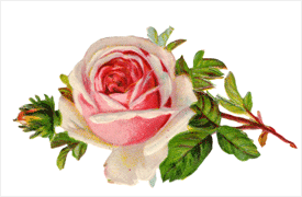 Everything Came Up Roses for Pennsylvania Florist Who Contacted Biz2Credit