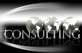 IT consulting firm establishes solid credit history and accesses $100,000 line of credit