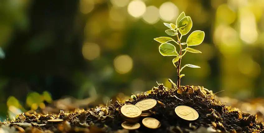 Revenue-Based Financing: A Flexible Way to Raise Funds Without Giving Up Equity